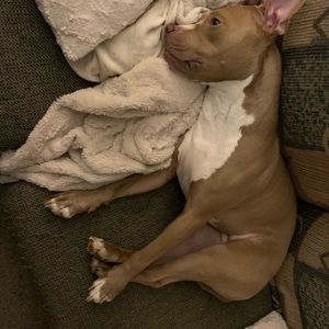 Meet your Posher, Philip